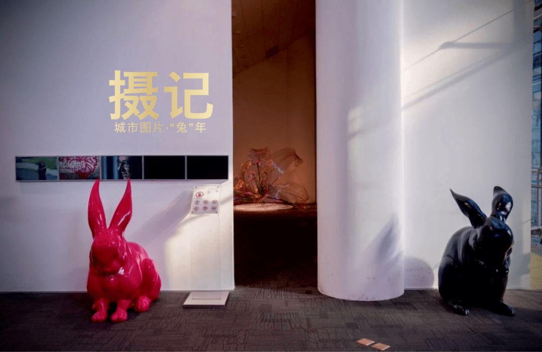 抖音互动游戏兔子去哪儿
:摄记丨逛了一圈北京商场，全世界的兔子梗快被玩“坏”了