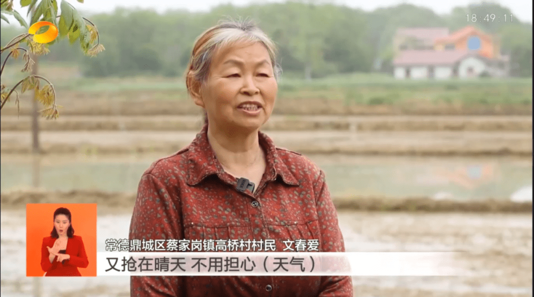 无人直播
:湖南卫视推介鼎城 | 种子穿上“保护衣” 无人机直播助春耕