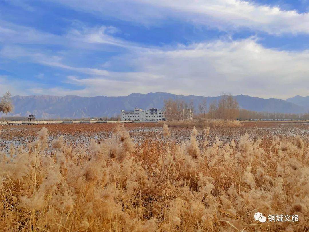 炎与水之国
:与水川湿地公园来炎炎场“春之约”