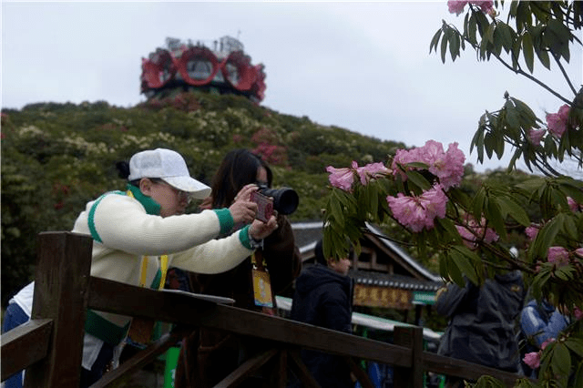 抖音弹幕官游
:“微度假·游贵州”2023贵州春季旅游主题推广活动采风团走进百里杜鹃