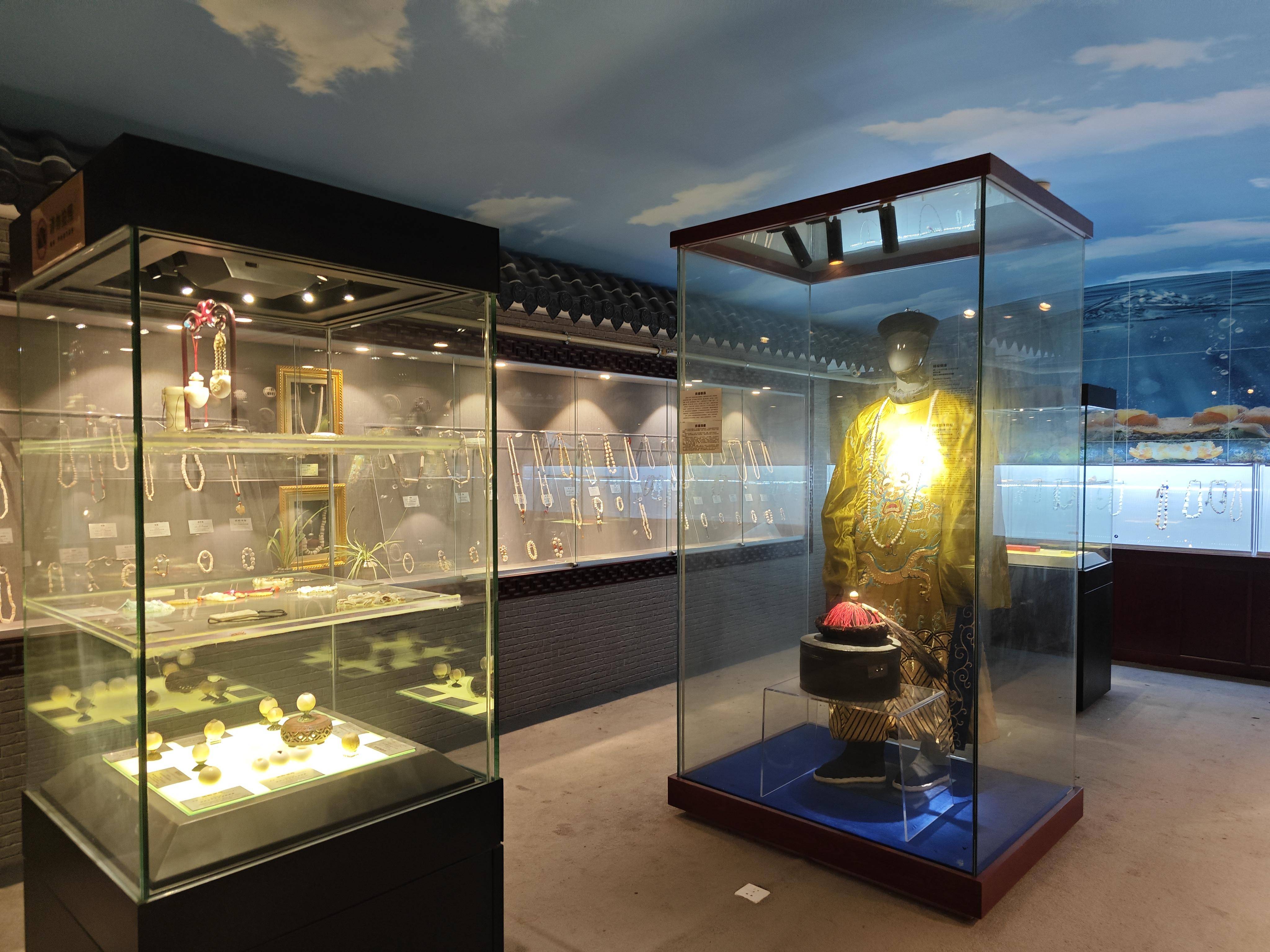 众邀乐园
:郑州特色博物馆之山海砗磲潮玩博物馆：传承万年的嘉年华年的海中灵珍