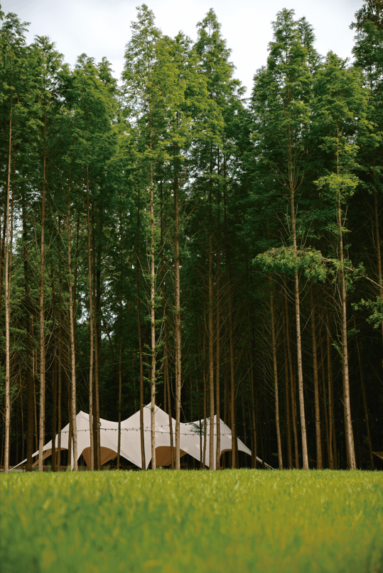 森林派对
:2023都江堰帐篷露营季来啦！草坪、星空、烟花、音乐……肆意享受专属于夏天的酷爽！