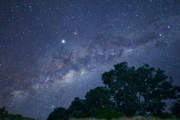 动物星团
:漫天星辰<strong></p>
<p>动物星团
</strong>，带你探索新西兰的迷人带你夜空