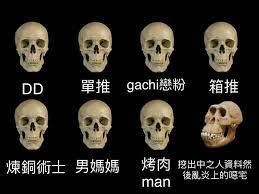 Diss元宇宙的虚拟主播们