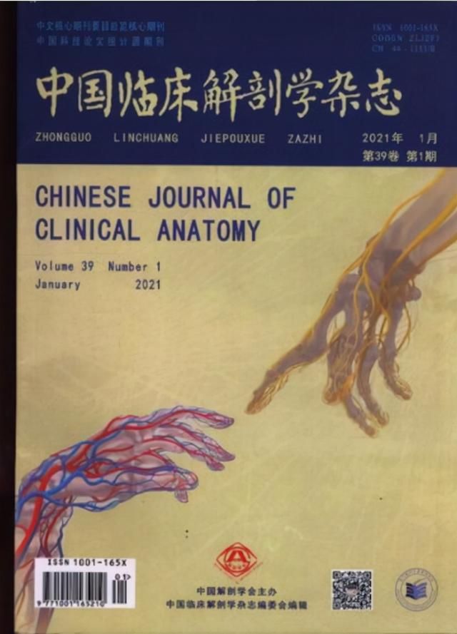 颤动！将人体切成8556个横切面strong/p
p数字人
/strong，广东院士打造首例“数字人”，获国度科技奖！