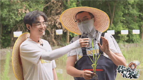 王者荣耀直播弹幕:《王者荣耀》策划种田直播引发热议